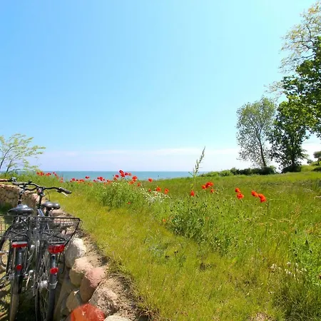 Rex Rugia 29-5 Mit Gratis Sauna- Und Schwimmbadnutzung Im Ahoi Sellin