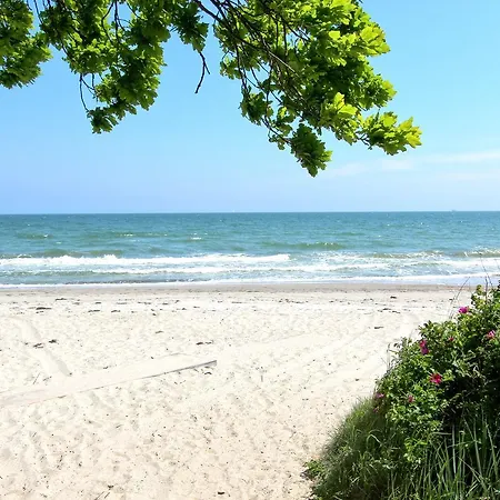 Апартаменты Rex Rugia 29-5 Mit Gratis Sauna- Und Schwimmbadnutzung Im Ahoi Sellin *