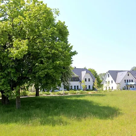 Rex Rugia 29-5 Mit Gratis Sauna- Und Schwimmbadnutzung Im Ahoi Sellin