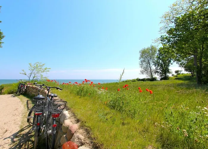 Rex Rugia 29-5 Mit Gratis Sauna- Und Schwimmbadnutzung Im Ahoi Sellin