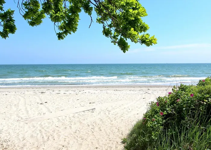 Apartamento Rex Rugia 29-5 Mit Gratis Sauna- Und Schwimmbadnutzung Im Ahoi Sellin *